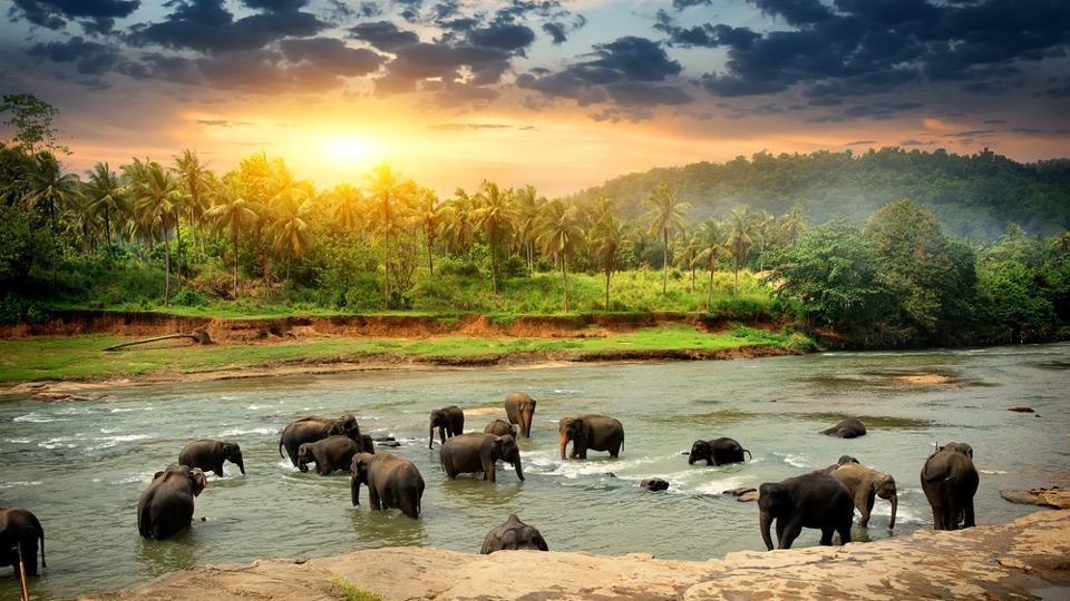 Top tourism in Sri Lanka